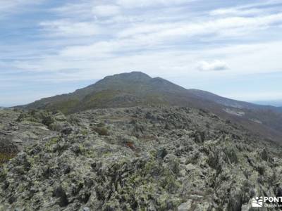 Pico Ocejón[Ruta Clásica]-Sierra de Ayllón;sierra de cotos nudos montaña pueblo medieval madrid ruta